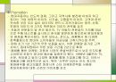 국내 기업 글로벌 마케팅 성공사례 (현대자동차 인도 진출) 12페이지