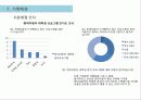 현대자동차 YOUTH 마케팅 전략 6페이지
