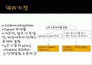 약리학 발표 5페이지