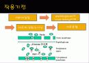 약리학 발표 14페이지