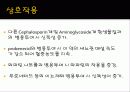 약리학 발표 15페이지