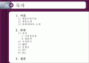 드림카카오의 사례분석 2페이지