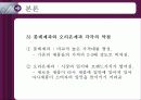 드림카카오의 사례분석 12페이지