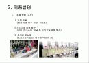 DDOODDI& Marketing Strategy (뚜띠앤 마케팅 전략) 5페이지