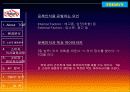 외식산업 프랜차이즈 - T.G.I.  FRIDAY’s 13페이지