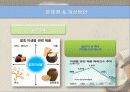 막걸리 마케팅 12페이지