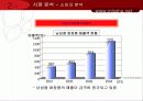 미샤,광고마케팅,마케팅,브랜드,브랜드마케팅,기업,서비스마케팅,글로벌,경영,시장,사례,swot,stp,4p 12페이지