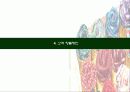 [마케팅원론] 유통업무의 실제 “STCO 파헤치기” 16페이지