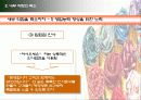 [마케팅원론] 유통업무의 실제 “STCO 파헤치기” 20페이지