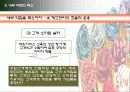 [마케팅원론] 유통업무의 실제 “STCO 파헤치기” 27페이지