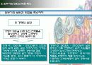 [마케팅원론] 유통업무의 실제 “STCO 파헤치기” 29페이지