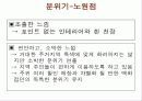 롯데백화점,경영사례,마케팅사례,마케팅,브랜드,브랜드마케팅,기업,서비스마케팅,글로벌,경영,시장,사례,swot,stp,4p 14페이지