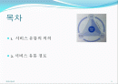 서비스유통,마케팅,브랜드,브랜드마케팅,기업,서비스마케팅,글로벌,경영,시장,사례,swot, 2페이지