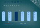 환경마케팅,마케팅,브랜드,브랜드마케팅,기업,서비스마케팅,글로벌,경영,시장,사례,swot,stp,4p 17페이지