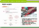 크린토피아,마케팅,브랜드,브랜드마케팅,기업,서비스마케팅,글로벌,경영,시장,사례,swot,stp,4p 23페이지