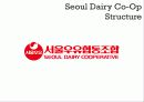 서울우유,마케팅,브랜드,브랜드마케팅,기업,서비스마케팅,글로벌,경영,시장,사례,swot,stp,4p 32페이지