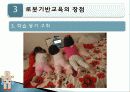 로봇과영어교육,유아교육,마케팅,브랜드,브랜드마케팅,기업,서비스마케팅,글로벌,경영,시장,사례 20페이지