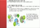 코카콜라마케팅,마케팅,브랜드,브랜드마케팅,기업,서비스마케팅,글로벌,경영,시장,사례,swot 18페이지