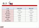 스포츠브랜드,스포츠마케팅,마케팅,브랜드,브랜드마케팅,기업,서비스마케팅,글로벌,경영,시장,사례 5페이지
