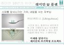 래미안,기업분석,마케팅,브랜드,브랜드마케팅,기업,서비스마케팅,글로벌,경영,시장,사례,swot,stp,4p 11페이지