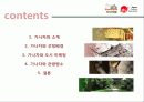 관광,일본여행,관광마케팅,일본마케팅 2페이지