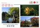 관광,일본여행,관광마케팅,일본마케팅 22페이지