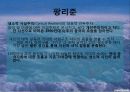 중국미술,중국예술,중국문화,현대미술,서양미술,미술 16페이지