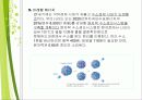 신재생에너지 15페이지