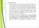 신재생에너지 17페이지