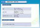 미국사회문화,미국경제,미국분석,마케팅,브랜드,브랜드마케팅,기업,서비스마케팅,글로벌,경영,시장,사례,swot 14페이지