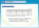 미국사회문화,미국경제,미국분석,마케팅,브랜드,브랜드마케팅,기업,서비스마케팅,글로벌,경영,시장,사례,swot 27페이지