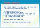 미국사회문화,미국경제,미국분석,마케팅,브랜드,브랜드마케팅,기업,서비스마케팅,글로벌,경영,시장,사례,swot 48페이지