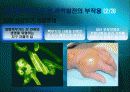 전쟁,과학기술,인류문명,인류발전,과학발전 36페이지