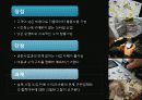 디지털영수증,사업구상,마케팅,브랜드,브랜드마케팅,기업,서비스마케팅,글로벌,경영,시장,사례,swot,stp,4p 43페이지