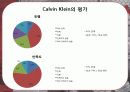 CK마케팅,마케팅,브랜드,브랜드마케팅,기업,서비스마케팅,글로벌,경영,시장,사례,swot,stp,4p 18페이지