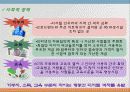 디지털디바이드,마케팅,브랜드,브랜드마케팅,기업,서비스마케팅,글로벌,경영,시장,사례,swot,stp,4p 24페이지