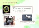 DMZ,관광상품,마케팅,브랜드,브랜드마케팅,기업,서비스마케팅,글로벌,경영,시장,사례,swot,stp,4p 25페이지