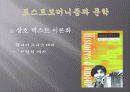 포스트모더니즘,마케팅,브랜드,브랜드마케팅,기업,서비스마케팅,글로벌,경영,시장,사례 12페이지