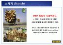 3M,나이키,성공사례,마케팅,브랜드,브랜드마케팅,기업,서비스마케팅,글로벌,경영,시장,사례 5페이지