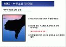 3M,나이키,성공사례,마케팅,브랜드,브랜드마케팅,기업,서비스마케팅,글로벌,경영,시장,사례 22페이지