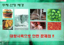 과학기술,인간문화,마케팅,브랜드,브랜드마케팅,기업,서비스마케팅,글로벌,경영,시장,사례 2페이지