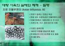 과학기술,인간문화,마케팅,브랜드,브랜드마케팅,기업,서비스마케팅,글로벌,경영,시장,사례 20페이지