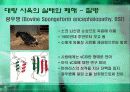과학기술,인간문화,마케팅,브랜드,브랜드마케팅,기업,서비스마케팅,글로벌,경영,시장,사례 21페이지