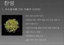 휴먼게놈프로젝트,게놈연구,유전자연구,마케팅,브랜드,브랜드마케팅,기업,서비스마케팅,글로벌,경영,시장,사례, 5페이지