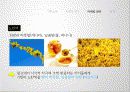 기린(Kirin)빵,기업분석,마케팅사례,마케팅,브랜드,브랜드마케팅,기업,서비스마케팅,글로벌,경영,시장,사례,swot,stp,4p 12페이지