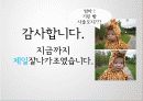 기린(Kirin)빵,기업분석,마케팅사례,마케팅,브랜드,브랜드마케팅,기업,서비스마케팅,글로벌,경영,시장,사례,swot,stp,4p 22페이지