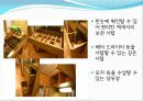 소비자주권실현사례,소비자만족도,마케팅,브랜드,브랜드마케팅,기업,서비스마케팅,글로벌,경영,시장,사례 31페이지