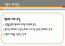 독일현대철학,철학자,현상학,해석학,폴리쾨르 13페이지