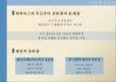 디지털 민주주의 : 개선된 공론장 4페이지