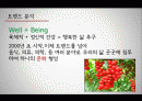 호텔경영론 Well-being(웰빙) 2페이지